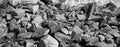Black and White Image of Pile Of Rocks I.E. Lithium Mining And Natural Resources Like Limestone Mining In Quarry. Natural Zeolite