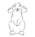 Black and white image of a rabbit