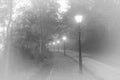 Road with classic street lamps in the mist Royalty Free Stock Photo