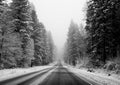 Black and white image of a road through a snowy landscape, fading into the horizon Royalty Free Stock Photo