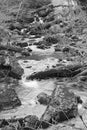 A Black and White Image of Roaring Run Creek Royalty Free Stock Photo