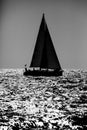 Sailing boat silhouette in the high sea Royalty Free Stock Photo