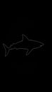 A black and white image of a shark Royalty Free Stock Photo