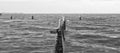Black and white image of Shorncliffe Pier Royalty Free Stock Photo