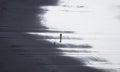 Black and white image silhouette of a person walking a dog on wet sand beach at Castlepoint Lighthouse New Zealand