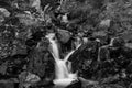 A small but beautiful multi tiered waterfall just off the side of the road in black and white