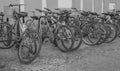 Black and white image of some bicycles parked on the street