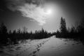 Black and white image of Swedish night with bright moon