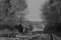 Black and white image of a train track with a curve between the forest with trees and bushes on both sides, beautiful day to refle Royalty Free Stock Photo