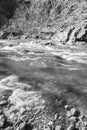 A Black and White Image of Trout Stream Royalty Free Stock Photo