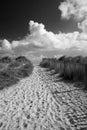 Black and White Image of Walberswick Beach, Suffolk, England Royalty Free Stock Photo