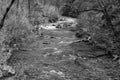 A Black and White Image of a Wild Mountain Trout Stream Royalty Free Stock Photo