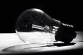 Black and white incandescent bulb Royalty Free Stock Photo