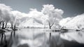 Black and white infrared lake scene with bright trees and mountains Royalty Free Stock Photo