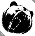 Black and white ink draw bear vector illustration