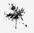 black and white , ink drop abstract background Royalty Free Stock Photo