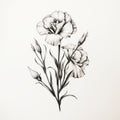 Delicate Black And White Carnation Floral Illustration Royalty Free Stock Photo