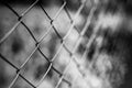 Black and white iron fence abstract scene on blurred nature background Royalty Free Stock Photo