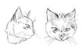 Cat heads two angles coloring page Royalty Free Stock Photo