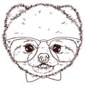 Black and white isolated pomeranian dog head with bow-tie and glasses. Vector hand drawn puppy face. Royalty Free Stock Photo