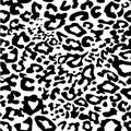 Black white jaguar, leopard, cheetah, panther fur. Monochrome camouflage background with animal skin leopard seamless pattern Royalty Free Stock Photo