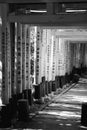 Black and white Japan Torii tunnel a place full of color and spiritual vibe