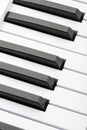 Black and white keys of a music keyboard Royalty Free Stock Photo