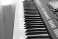 Black and white keys of a synthesizer