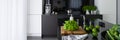 Black and white kitchen with island, panorama Royalty Free Stock Photo