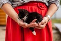 Black-white kitten in the arms of a woman.