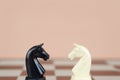 Black and white knight chess. Face to face. Lovestruck Royalty Free Stock Photo