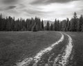 The black and white landcape of field and country road with forest and mountains background Royalty Free Stock Photo