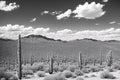 a black and white landscape in Arizona.