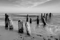 Black and white landscape of the Baltic Sea coast, Kolobrzeg, Poland.