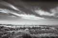 Black and white landscape of Costa Esuri, Ayamonte urbanisation Royalty Free Stock Photo