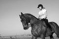 Black and white landscape photo of a black horse and jockey in action.