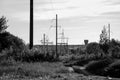 Black and white landscape with power lines, bushes and country road Royalty Free Stock Photo