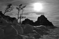 Black and white landscape. The shore of the lake with a rock and trees.