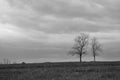 Black and White Landscape Royalty Free Stock Photo