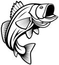 Black and White Leaping Fish Royalty Free Stock Photo