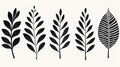 Black And White Leaves: Folk Art-inspired Illustrations And Minimalist Sets Royalty Free Stock Photo