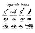 Black and white legumes beans vector set