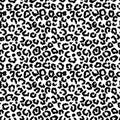 Black and white leopard pattern vector