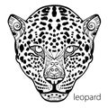 The black and white leopard print with ethnic patterns. Coloring book for adults antistress. Adult coloring