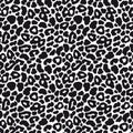 Black and white leopard seamless pattern. Animal skin design, vector illustration background. Royalty Free Stock Photo