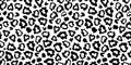 Black and white leopard skin fur seamless pattern.