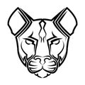 Black and white line art of cougar head Good use for symbol mascot icon avatar tattoo T Shirt design logo or any design Royalty Free Stock Photo