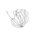 Black and white line art decoration of flower with leaves.  Vector isolated clipart. Minimal monochrome hand drawing botanical Royalty Free Stock Photo