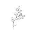 Black and white line art decoration of leaves. Vector isolated clipart. Minimal monochrome hand drawing botanical design. Contour
