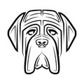 Black and white line art of English Mastiff dog head. Royalty Free Stock Photo